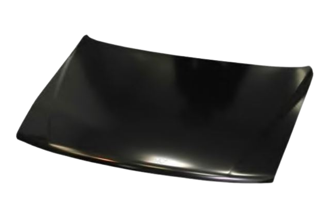 2004 Mitsubishi Montero Hood Painted MR508038